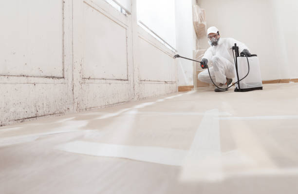 24/7 Emergency Commercial Mold Remediation experts in California, MD