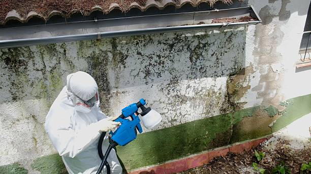 Top rated local Commercial Mold Remediation specialists in California, MD